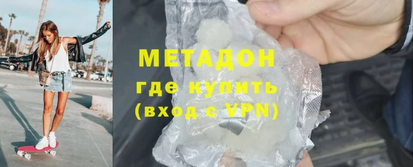 прущие грибы Апатиты