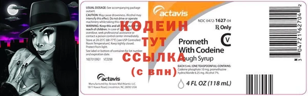 прущие грибы Апатиты