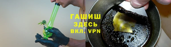 прущие грибы Апатиты