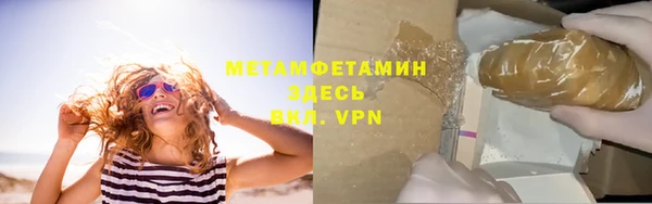 прущие грибы Апатиты