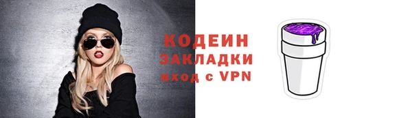 прущие грибы Апатиты