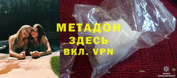 прущие грибы Апатиты