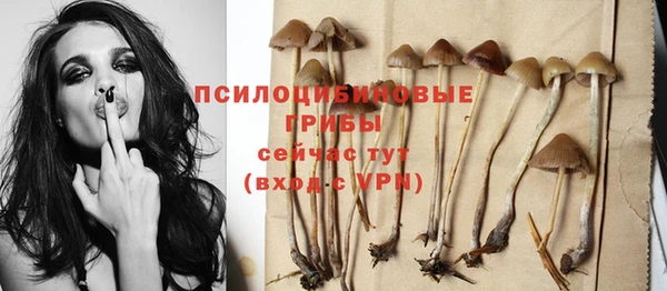 mix Анжеро-Судженск