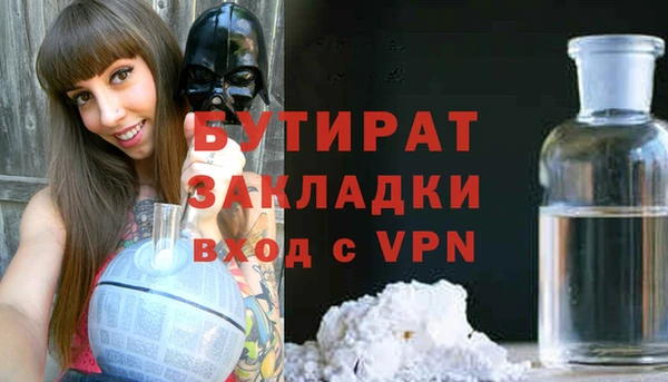 прущие грибы Апатиты