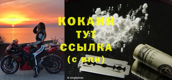 прущие грибы Апатиты