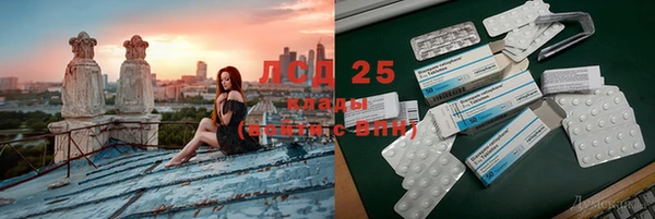 прущие грибы Апатиты