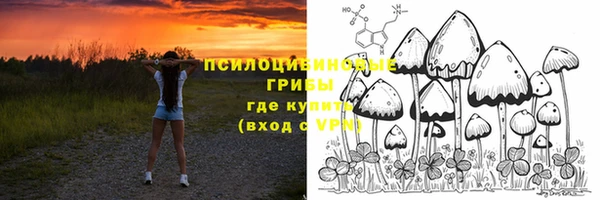 PSILOCYBIN Анива