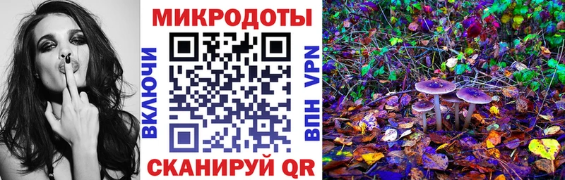 blacksprut Великие Луки Псилоцибиновые грибы Cubensis купить
