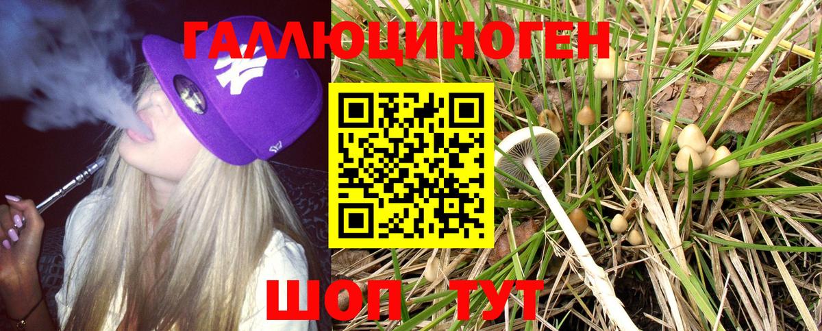 Гашиш  Где продают наркотики?  Великие Луки  Кокаин  Alpha-PVP СОЛЬ кристаллы  МЕФ   МЕФ   Канабис  ГАШ  Каннабис 