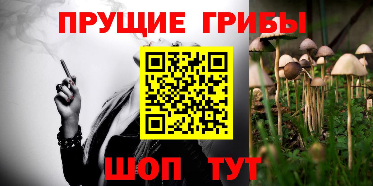 Псилоцибиновые грибы прущие грибы Великие Луки